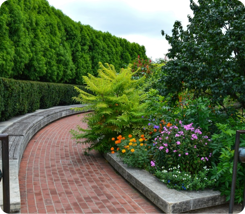 Landscaping & Gardening - Image 1